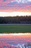 Pink Sunrise cloudscape over Pelican Creek in Yellowstone National Park in Wyoming royalty free stock images Pink Sunrise cloudscape over Pelican Creek in Yellowstone National Park in Wyoming royalty free stock images
