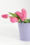 Pink Tulips In A Purple Vase Stock Image