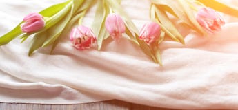 Pink tulips on white fabric, lit by the rays of the setting sun stock photo Pink tulips on white fabric, lit by the rays of the setting sun stock photo