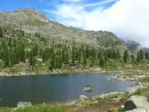 Pinos verdes en una colina rocosa cerca del lago fotografía de archivo libre de regalías Pinos verdes en una colina rocosa cerca del lago fotografía de archivo libre de regalías
