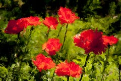 Pintura de Digitaces de amapolas rojas libre illustration Pintura de Digitaces de amapolas rojas libre illustration