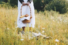 Pique-nique d'été dans le pré fille tenant un panier de pique-nique avec le fruit et le jus images stock Pique-nique d'été dans le pré fille tenant un panier de pique-nique avec le fruit et le jus images stock