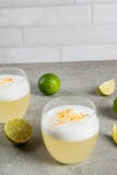 Pisco tradizionale cileno del liquore acido immagine stock libera da diritti Pisco tradizionale cileno del liquore acido immagine stock libera da diritti