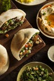 Pita vegetariana sana del Falafel immagine stock libera da diritti Pita vegetariana sana del Falafel immagine stock libera da diritti