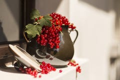 Pitcher/jug of redcurrant on a direct sunlight on a window stock image Pitcher/jug of redcurrant on a direct sunlight on a window stock image