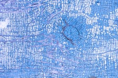 Pittura della sbucciatura sulla vecchia porta Un modello del materiale blu rustico di lerciume sottragga la priorità bassa Fotografia Stock Libera da Diritti Pittura della sbucciatura sulla vecchia porta Un modello del materiale blu rustico di lerciume sottragga la priorità bassa Fotografia Stock Libera da Diritti