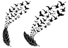 Piume con gli uccelli di volo, vettore