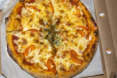 Pizza baked on the coals. stock image Pizza baked on the coals. stock image