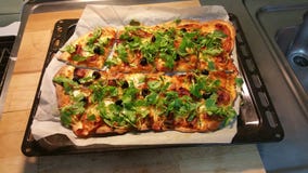 Pizza caseiro imagem de stock Pizza caseiro imagem de stock