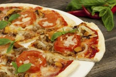 Pizza with cheese, pepper and meat