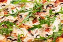 Pizza de champignons Vue sup?rieure photo stock Pizza de champignons Vue sup?rieure photo stock