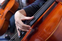 pizzicato виолончели стоковое изображение pizzicato виолончели стоковое изображение