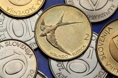 Pièces de monnaie de la Slovénie Pièces de monnaie de la Slovénie