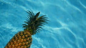 Piña que flota en agua azul en piscina Alimento biológico crudo sano Fruta jugosa Fondo tropical exótico metrajes Piña que flota en agua azul en piscina Alimento biológico crudo sano Fruta jugosa Fondo tropical exótico metrajes