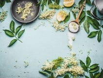 Più vecchi fiori che cucinano preparazione Più vecchi fiori con il cucchiaio, lo zucchero ed il limone sul fondo blu della tavola immagine stock libera da diritti Più vecchi fiori che cucinano preparazione Più vecchi fiori con il cucchiaio, lo zucchero ed il limone sul fondo blu della tavola immagine stock libera da diritti