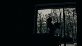 Piękna żeńska sylwetka przeciw wielkiemu lekkiemu okno bukiet kwitnie dziewczyny mienia Piękna artystyczna rama zbiory wideo Piękna żeńska sylwetka przeciw wielkiemu lekkiemu okno bukiet kwitnie dziewczyny mienia Piękna artystyczna rama zbiory wideo