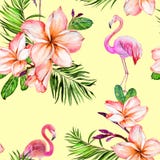 Piękni wielcy flaminga i plumeria kwiaty na żółtym tle Egzotyczny tropikalny bezszwowy wzór Watecolor obraz ilustracja wektor Piękni wielcy flaminga i plumeria kwiaty na żółtym tle Egzotyczny tropikalny bezszwowy wzór Watecolor obraz ilustracja wektor