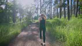 Piękny kobieta bieg na śladzie w lesie zbiory wideo Piękny kobieta bieg na śladzie w lesie zbiory wideo