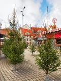 Place de Livu avec des arbres de Noël dans la vieille ville de Riga Image stock Place de Livu avec des arbres de Noël dans la vieille ville de Riga Image stock