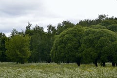 Place tranquille images libres de droits Place tranquille images libres de droits