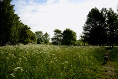 Place tranquille image libre de droits Place tranquille image libre de droits