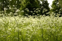Place tranquille photographie stock Place tranquille photographie stock