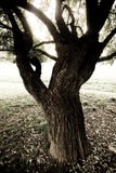 Place tranquille photo stock Place tranquille photo stock