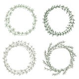 Placez de 4 guirlandes simples mignonnes de vecteur Cadres verts de forme ronde d'isolement sur le fond blanc illustration de vecteur Placez de 4 guirlandes simples mignonnes de vecteur Cadres verts de forme ronde d'isolement sur le fond blanc illustration de vecteur