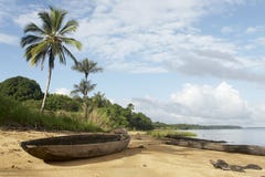 Plage de jungle Plage de jungle