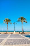 Plage de Malvarrosa, Valence, Espagne Photo stock Plage de Malvarrosa, Valence, Espagne Photo stock