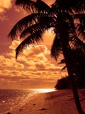 Plage orange lumineuse Plage orange lumineuse