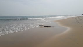Plage surfante populaire Arugambay Sri Lanka photographie stock libre de droits Plage surfante populaire Arugambay Sri Lanka photographie stock libre de droits