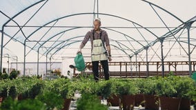 Plan general Un jardinero de sexo masculino trabaja en un invernadero, plantas de riego con una regadera verde Un día soleado en almacen de video Plan general Un jardinero de sexo masculino trabaja en un invernadero, plantas de riego con una regadera verde Un día soleado en almacen de video