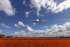 A plane and the Tulip Bulb Farms stock photo A plane and the Tulip Bulb Farms stock photo