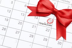 Planning of pregnancy royalty free stock photo Planning of pregnancy royalty free stock photo