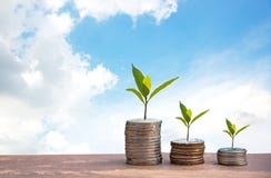 Plant Growing In Savings Coins. Money coin stack growing graph. blue sky background. Royalty Free Stock Images Plant Growing In Savings Coins. Money coin stack growing graph. blue sky background. Royalty Free Stock Images
