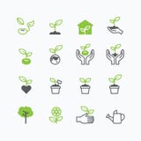 Plant and sprout growing icons flat line design vector
