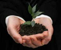 Planta en manos imagenes de archivo Planta en manos imagenes de archivo