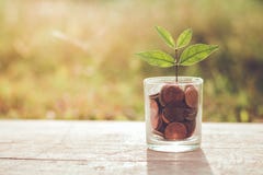 Planta que crece de concepto de las monedas foto de archivo Planta que crece de concepto de las monedas foto de archivo