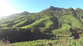 Plantaciones de té de Sri Lanka Plantaciones de té de Sri Lanka