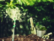 Plantando uma planta pequena em uma pilha do solo com as ferramentas de jardinagem no fundo verde do bokeh imagens de stock Plantando uma planta pequena em uma pilha do solo com as ferramentas de jardinagem no fundo verde do bokeh imagens de stock