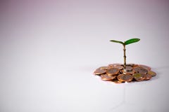 Plante verte sur des pièces de monnaie montrant la croissance financière photographie stock Plante verte sur des pièces de monnaie montrant la croissance financière photographie stock