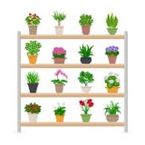Plantes d'intérieur sur l'illustration d'étagères illustration de vecteur Plantes d'intérieur sur l'illustration d'étagères illustration de vecteur