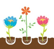 Planting Flowers. Three freshly planted flowers - vector art
