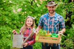 Planting season. Family garden. Maintain garden. Planting flowers. Family dad and daughter planting plants stock photo Planting season. Family garden. Maintain garden. Planting flowers. Family dad and daughter planting plants stock photo
