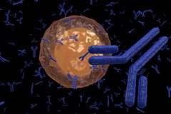 Plasma cell B lymphocyte producing antibodies royalty free illustration Plasma cell B lymphocyte producing antibodies royalty free illustration