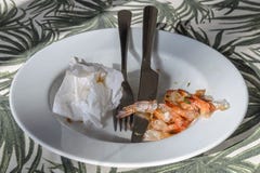 Plat avec des appareils et des queues de cuisson de la crevette Fruits de mer délicieux, déchets images stock Plat avec des appareils et des queues de cuisson de la crevette Fruits de mer délicieux, déchets images stock