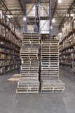 Plataformas y cajas apiladas en Warehouse fotos de archivo Plataformas y cajas apiladas en Warehouse fotos de archivo