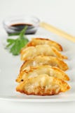 Plate of Juicy Chinese Fried Potstickers royalty free stock photos Plate of Juicy Chinese Fried Potstickers royalty free stock photos