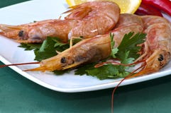 Plate Of Crayfish Royalty Free Stock Image Plate Of Crayfish Royalty Free Stock Image